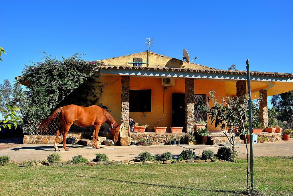 Agriturismo Monte Majore Siliqua Экстерьер фото